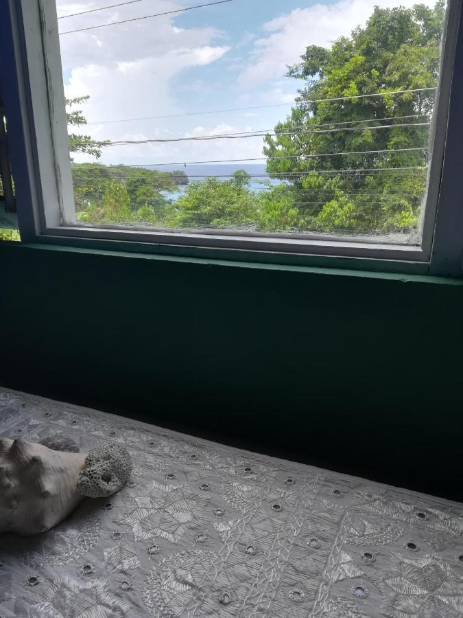 Toga Guest House Port Antonio Extérieur photo